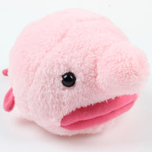 Load image into Gallery viewer, 50cm Soft plush toys Blobfish/ Water fish, gift for kids, birthday presents for girls and boys

